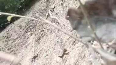 Desi Village Wife Outdoor Fucking