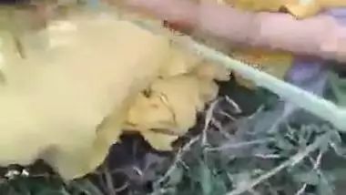 Desi aunty fucked outdoor